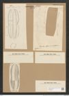 Plagiotropis mediterranea Grun. (de-Toni-Nr.: Genus 30, Species 1365) Zeichnungen Sammlung Grunow Nr. 2486 (NHMW-BOT-W0369804)